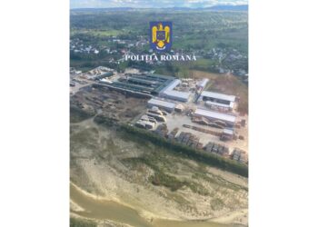 Polițiștii au efectuat 146 de percheziții la ”Mafia Lemnului”. Peste 21.000 de metri cubi de lemne au fost indisponibilizați