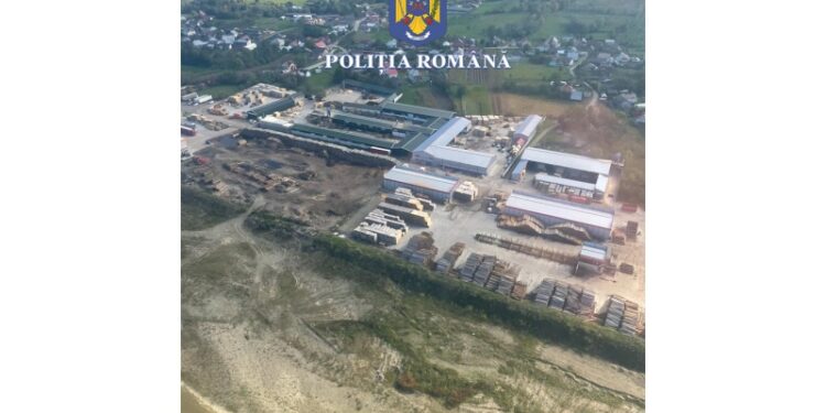 Polițiștii au efectuat 146 de percheziții la ”Mafia Lemnului”. Peste 21.000 de metri cubi de lemne au fost indisponibilizați