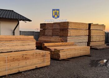 146 de percheziții la persoane bănuite de evaziune fiscală, tăiere fără drept de arbori din fondul forestier național, delapidare și spălare de bani