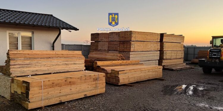 146 de percheziții la persoane bănuite de evaziune fiscală, tăiere fără drept de arbori din fondul forestier național, delapidare și spălare de bani