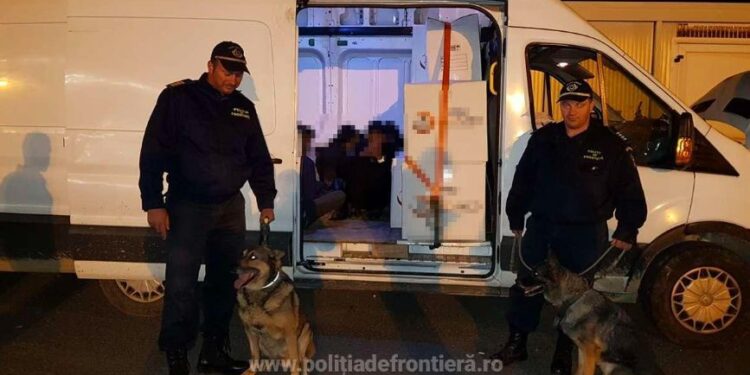 Polițiștii de frontieră au descoperit 17 migranți ascunși într-un microbuz care transporta măști chirurgicale. Aceștia voiau să ajungă în Ungaria