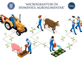 APIA reamintește că se apropie termenul scadent pentru încărcarea în sistemul informatic a rapoartelor de progres însoțite de documentele justificative