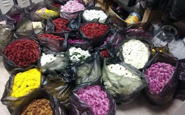 Polițiștii locali din Cluj-Napoca au prins un individ care a furat 43 de ghivece cu flori dintr-un cimitir