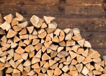 Premierul României susține că se va corecta decizia privind plafonarea prețului lemnului de foc