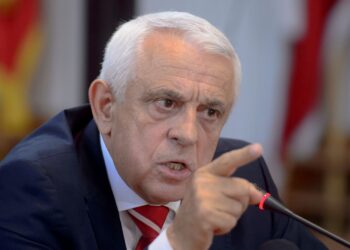 Petre Daea, despre punerea în aplicare a noii strategii a UE pentru păduri 2023: „Deși nu a trecut mult timp de la publicarea Strategiei, roadele ei încep să prindă contur”
