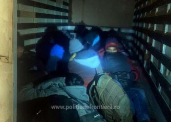 31 de cetățeni străini, ascunși în două mijloace de transport, au fost depistați în PTF Nădlac II