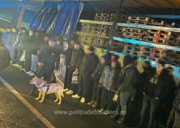 48 de migranţi au încercat să treacă ilegal frontiera în Ungaria, ascunşi în cinci mijloace de transport