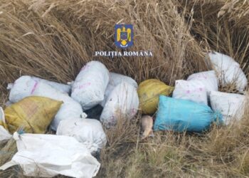 Peste 160 de unelte de pescuit indisponibilizate de polițiști, în urma unei acțiuni în Delta Dunării pentru protejarea fondului piscicol