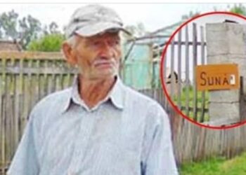 Un agricultor din Ariniș se ocupă singur de cinci solarii la 72 de ani!