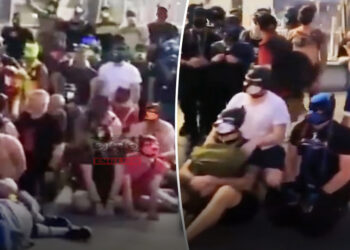 Führerul s-ar răsuci în mormânt! Sute de nemți, care se cred câini, s-au strâns la Berlin pentru ca să li se recunoască „adevărata‟ identitate!