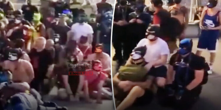 Führerul s-ar răsuci în mormânt! Sute de nemți, care se cred câini, s-au strâns la Berlin pentru ca să li se recunoască „adevărata‟ identitate!