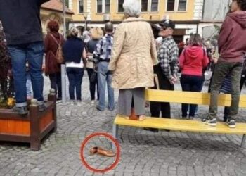 Gestul exemplar al unei bătrâne. S-a descălțat de pantofi și apoi s-a urcat pe o bancă