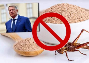 Făina de insecte, interzisă în produsele tradiționale românești! Președintele Klaus Iohannis a promulgat legea!