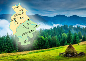Bucovina atrage tot mai mulți investitori!