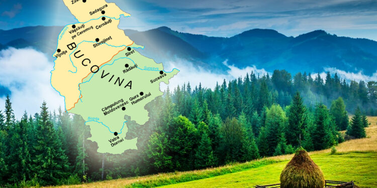Bucovina atrage tot mai mulți investitori!