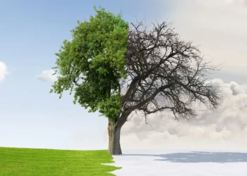 Înapoi la iarnă, în două zile. De la 32 de grade Celsius, la răciri semnificative și bruște