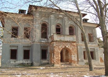 Palatul Elenei Cuza de la Solești, achiziționat de autoritățile locale. Va fi restaurat cu bani europeni