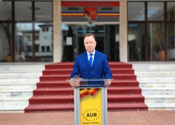 Reflectări asupra strategiilor de valorificare a resurselor naturale din perspectiva președintelui Organizației Oamenilor de Afaceri AUR Neamț, Gaman Claudiu