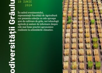„Ziua Biodiversității Grâului”, organizată de USV Iași la Ezăreni