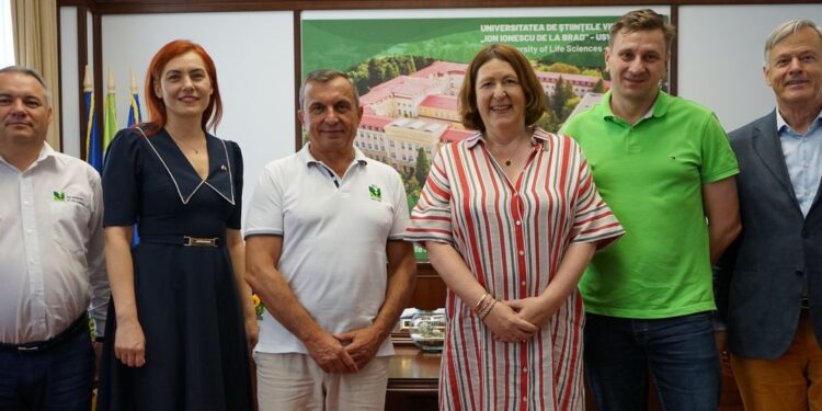 Rectorul USV Iași a primit vizita Excelenței Sale, Willemijn van Hafteen, Ambasadorea Regatului Țărilor de Jos în România