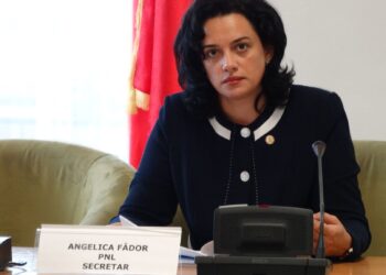 Deputatul PNL Angelica Fădor critică dur recalcularea pensiilor de către PSD: „Haos pentru pensionari, pierderi majore pentru mineri”