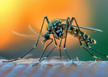 Virusul WEST NILE face ravagii printre seniorii Sucevei!
