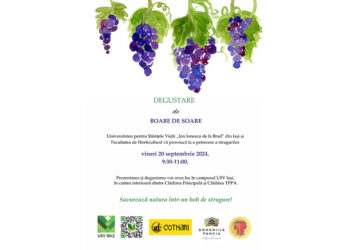 Gordin, Gordan, Berbecel, Cruciulița, Frâncușă, Grasă, Tămâioasă românească, Chasselas roz și doré, Italia, Moldova, Victoria, Cardinal, Muscat de Hamburg