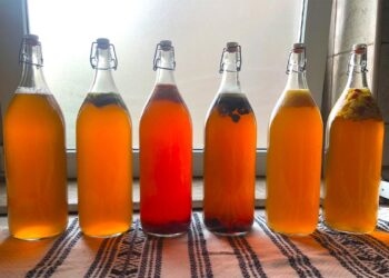 Cum prepari ceai Kombucha la tine acasă?