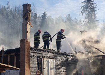 Puternic incendiu într-o gospodărie din Straja
