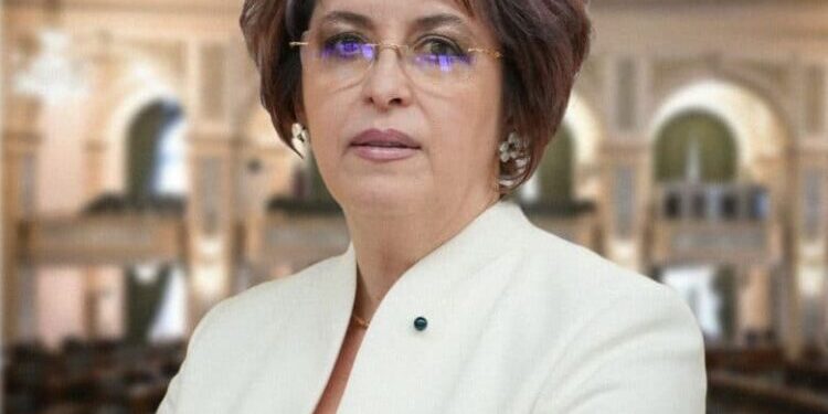 Niculina Stelea (AUR): Hoție la drumul mare! Trei manevre prin care PSD – PNL – UDMR îngroapă democrația!