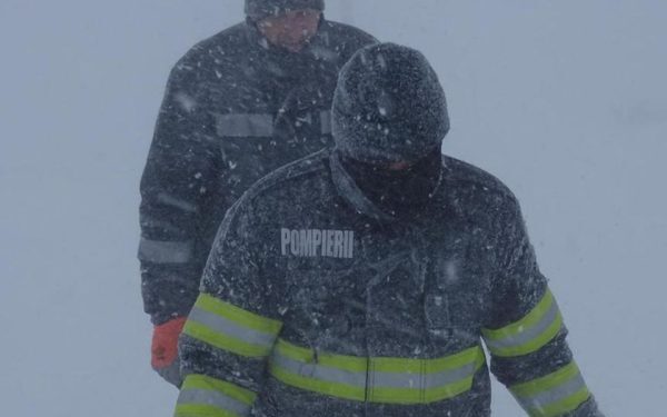 Ninsorile și viscolul au dus la căderi de arbori pe carosabil și întreruperi de curent în județul Suceava.