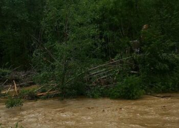 Ploile abundente fac ravagii în județul Bacău! Trei sate, izolate complet