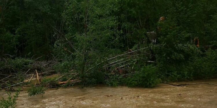Ploile abundente fac ravagii în județul Bacău! Trei sate, izolate complet