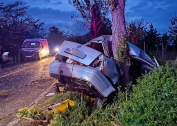 Tragedie la Bârlad! Un copil de 4 ani, în comă, iar un tânăr de 20 a ajuns la ceruri după ce s-a izbit de un copac!