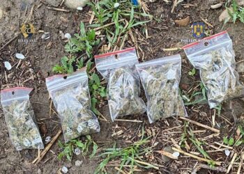 Patru puști din Vaslui sunt cercetați pentru trafic de droguri și operațiuni psihoactive