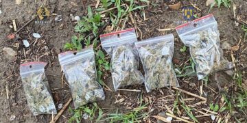 Patru puști din Vaslui sunt cercetați pentru trafic de droguri și operațiuni psihoactive