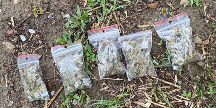 Patru puști din Vaslui sunt cercetați pentru trafic de droguri și operațiuni psihoactive