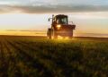Solul ca activ economic: de ce fertilitatea contează direct în productivitatea fermei