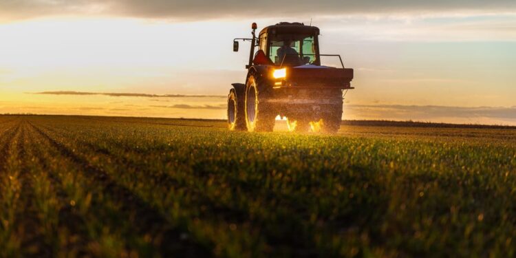 Solul ca activ economic: de ce fertilitatea contează direct în productivitatea fermei